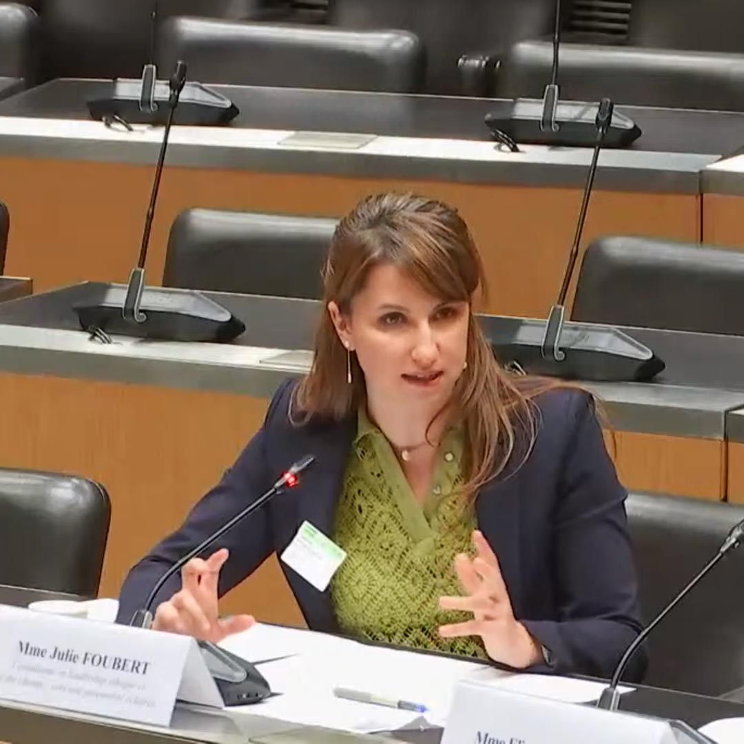 Julie Foubert, Assemblée nationale